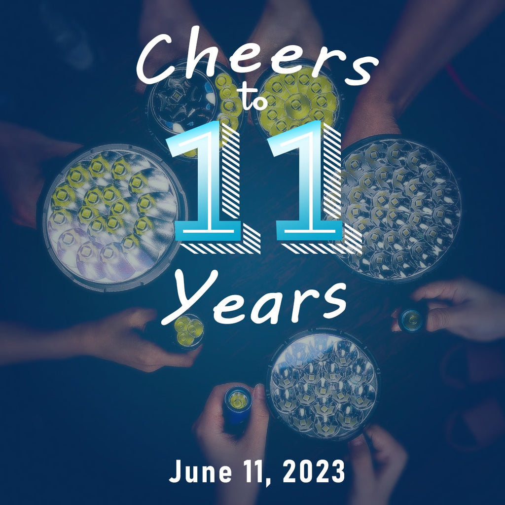 11th Anniversary of IMALENT